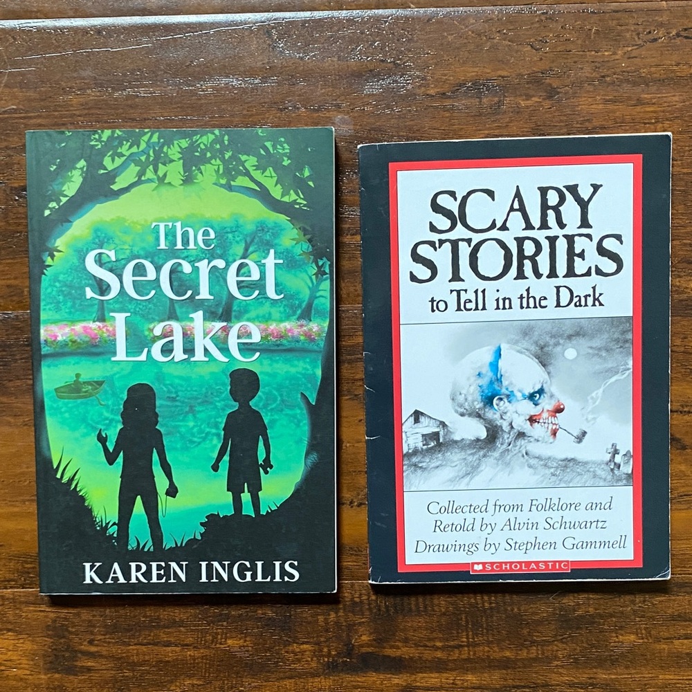 Teen YA Mystery Suspense & Thriller Paperback Book Bundle (7 Books) - Picture 10 of 16